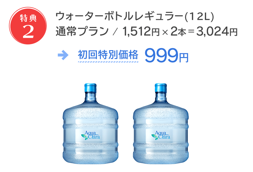 ボトル2本3,024円が999円！