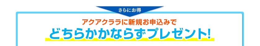 アクアクララに新規お申込みで どちらかかならずプレゼント!