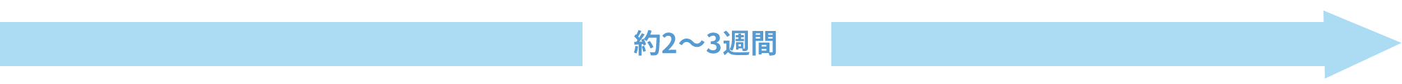 約2〜3週間