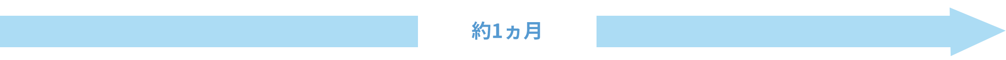約1ヵ月