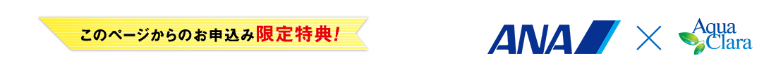 本ページ限定特典