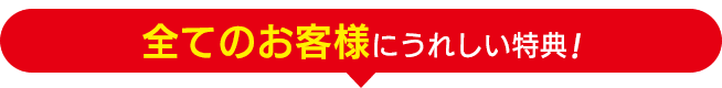 本ページ限定特典