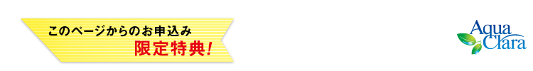 本ページ限定特典