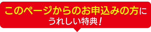 本ページ限定特典