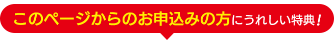 本ページ限定特典