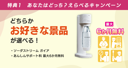 特別特典ボトルチケット4枚