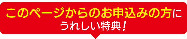 本ページ限定特典