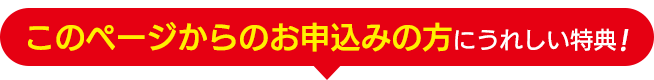 本ページ限定特典