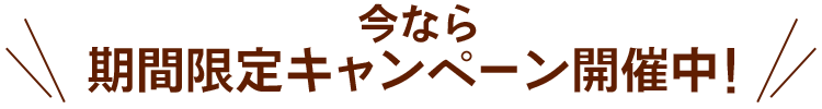 今なら、期間限定キャンペーン開催中!
