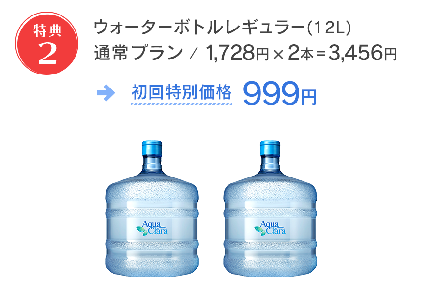 ボトル2本3,024円が999円！