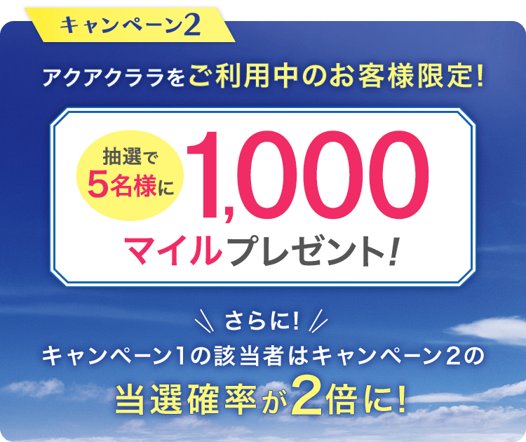 キャンペーン2