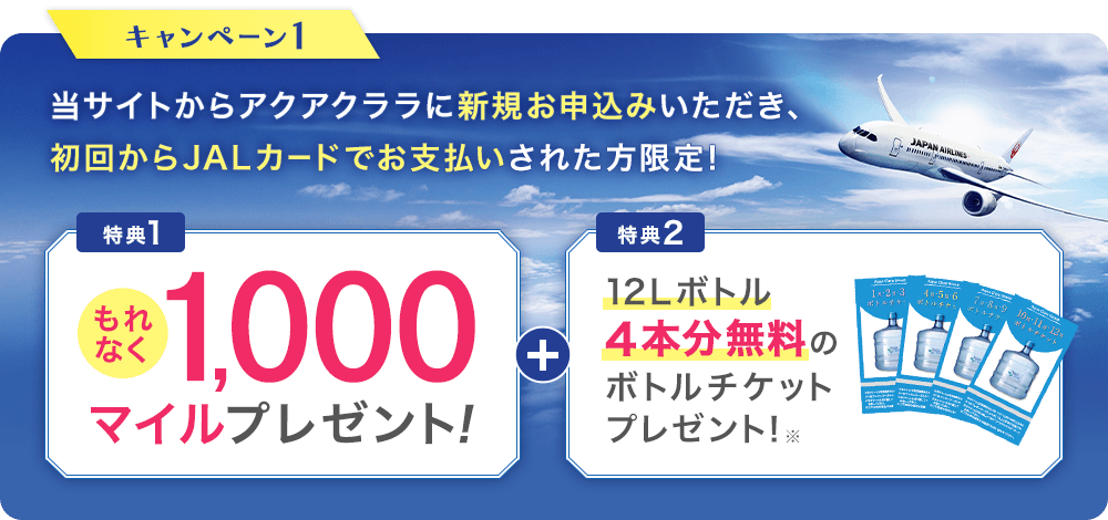 キャンペーン1