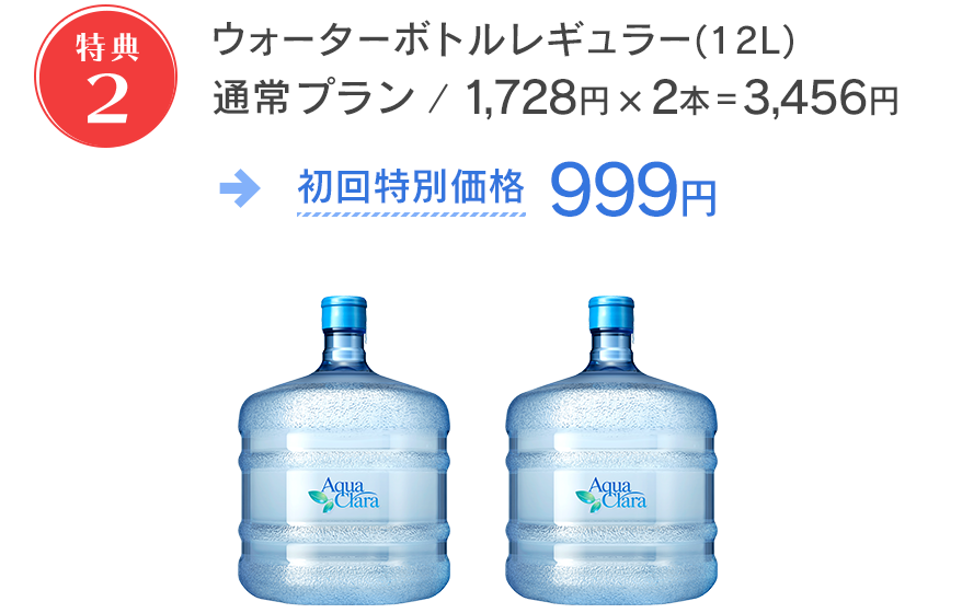 ボトル2本3,456円が999円！