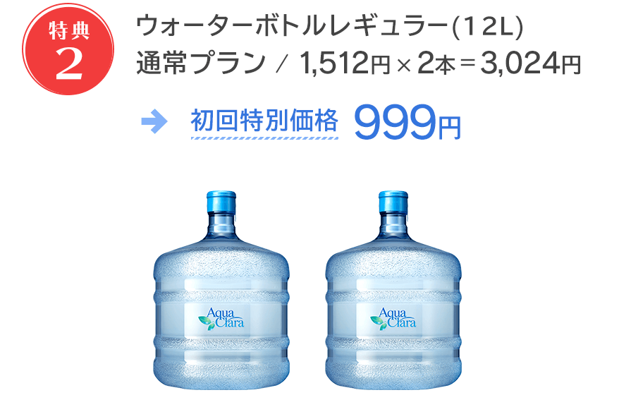 ボトル2本3,024円が999円！