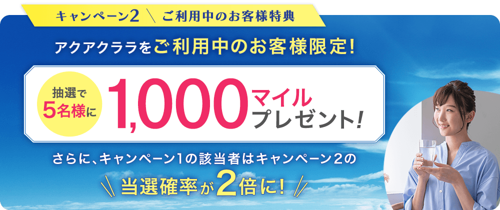 キャンペーン2