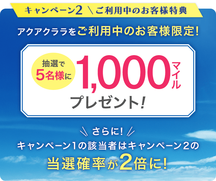 キャンペーン2