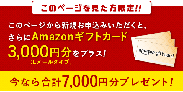Amazonギフト券3,000円分プレゼント