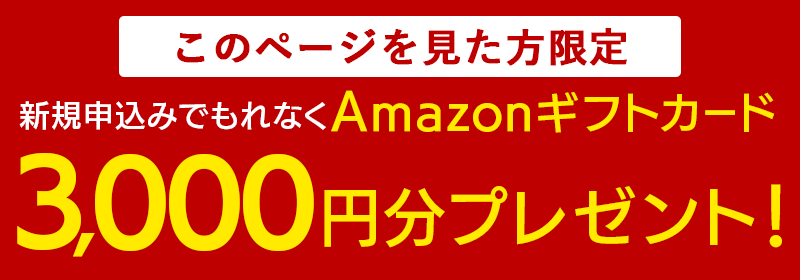 限定企画