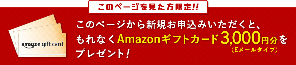 Amazonギフト券3,000円分プレゼント