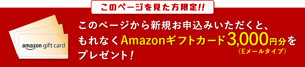 Amazonギフト券3,000円分プレゼント