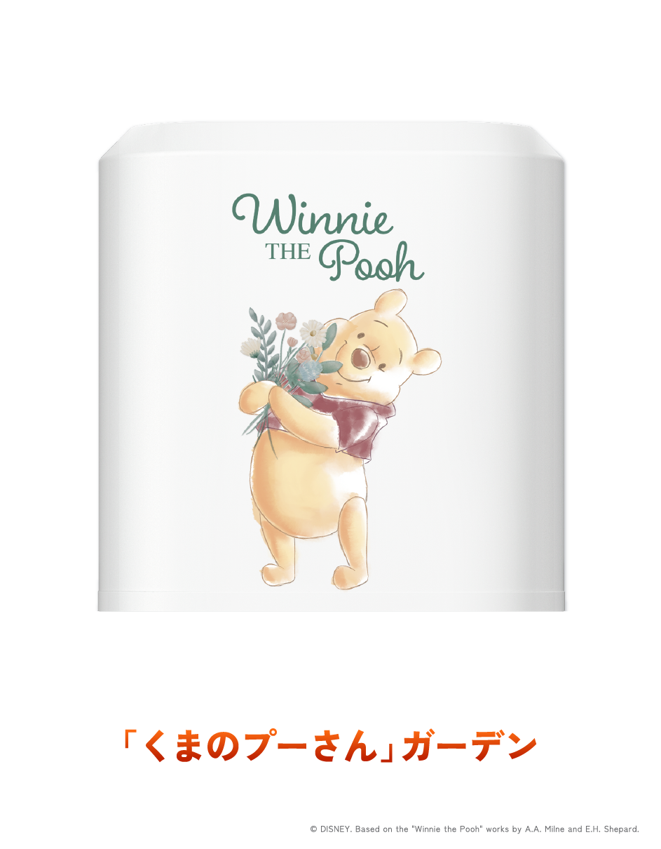 サーバー上部デザイン