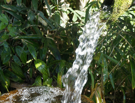 お水に含まれるミネラルの効果