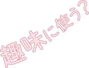 趣味に使う?