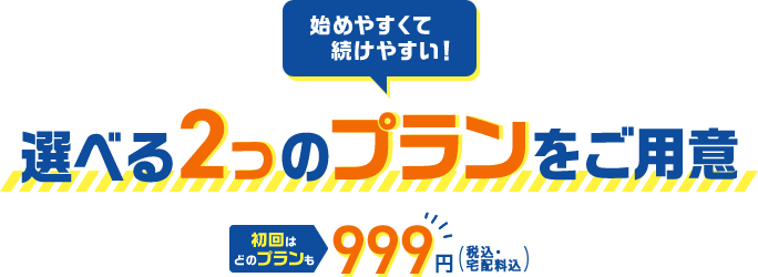 始めやすくて続けやすい！　初回はどのプランも999円（税込・宅配料込）　選べる2つのプランをご用意