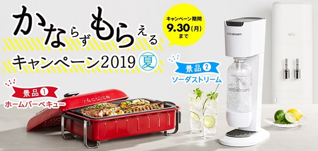 かならずもらえるキャンペーン2019