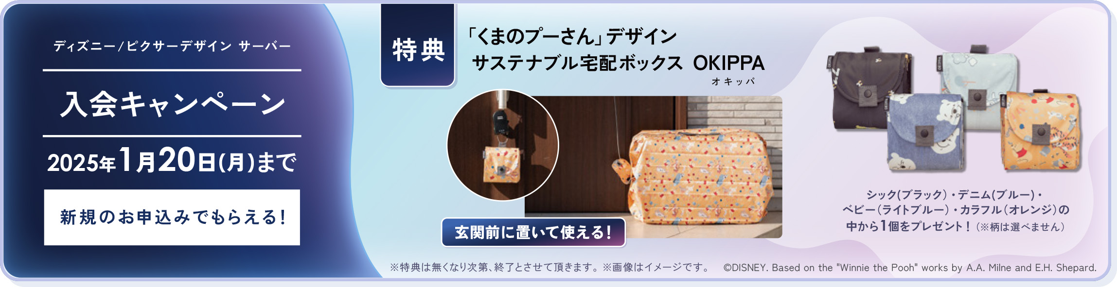 ディズニー /ピクサーデザイン サーバー 入会 キャンペーン