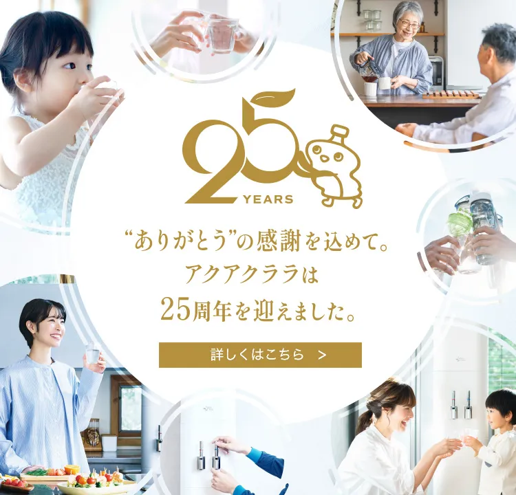 25周年特設サイト２