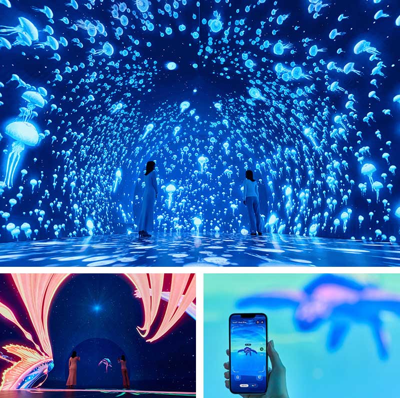 深海や高原・原生林・洞窟など自然や都市を舞台にした6つのゾーン